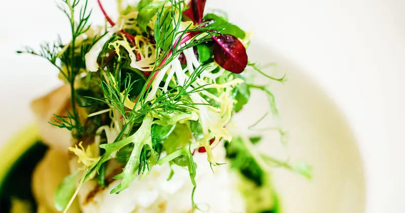Stock photograph of a bright green plated salad.